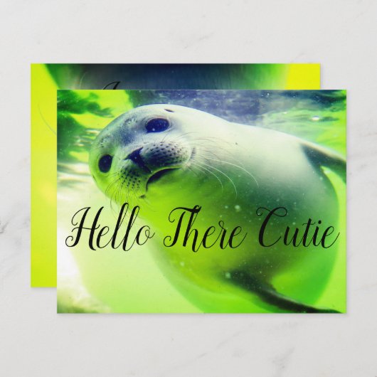 hallo Daar Cutie (Voorkant / Achterkant)