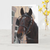 Hallo daar, een Amish Horse. Kaart (Gele Bloem)