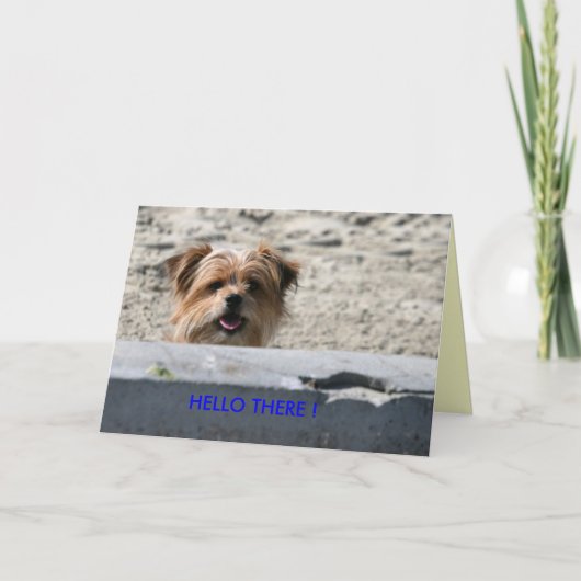 HALLO DAAR! KAART (Voorkant)