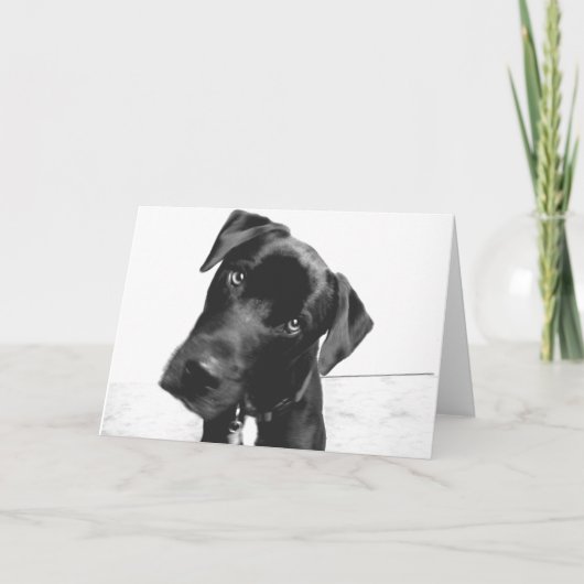 Hallo daar kaart (Voorkant)