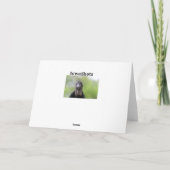 Hallo daar kaart (Achterkant)