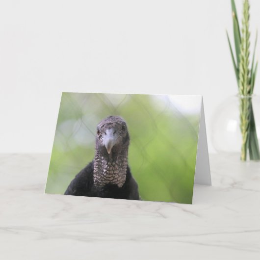 Hallo daar kaart (Voorkant)