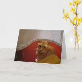 hallo daar kaart (Gele Bloem)