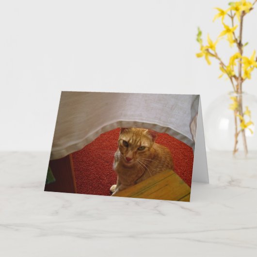 hallo daar kaart (Gele Bloem)