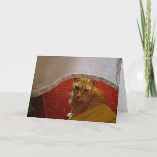 hallo daar kaart (Voorkant)