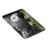 Hallo daar mooi - een griezelige grijze papegaai magneet (Rechterzijde)