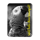 Hallo daar mooi - een griezelige grijze papegaai magneet (Verticaal)