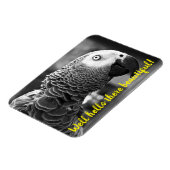 Hallo daar mooi - een griezelige grijze papegaai magneet (Linkerzijde)