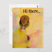 Hallo daar Muscovy Duckling Briefkaart (Voorkant / Achterkant)
