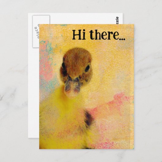 Hallo daar Muscovy Duckling Briefkaart (Voorkant / Achterkant)