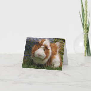 Hallo daar! (Nar) Kaart