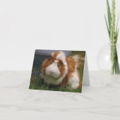 Hallo daar! (Nar) Kaart (Voorkant)