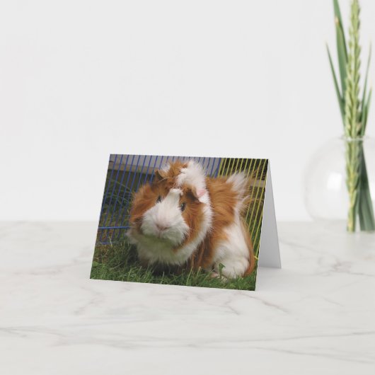 Hallo daar! (Nar) Kaart (Voorkant)