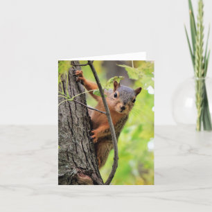 Hallo Daar Note Kaart