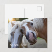 Hallo daar! Paardenfoto Briefkaart (Voorkant / Achterkant)