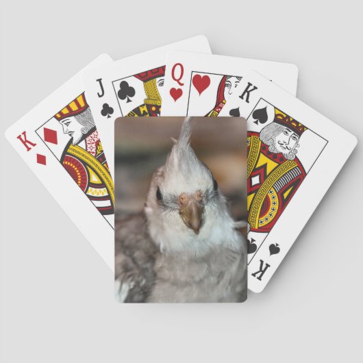 Hallo daar speelkaarten (Achterkant)