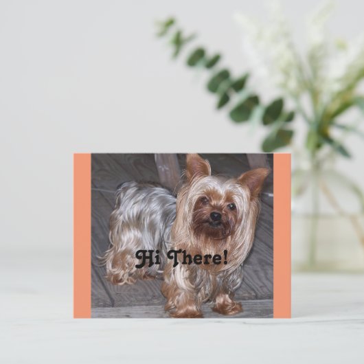 Hallo daar Yorkshire Terrier Briefkaart (Staand voorkant)