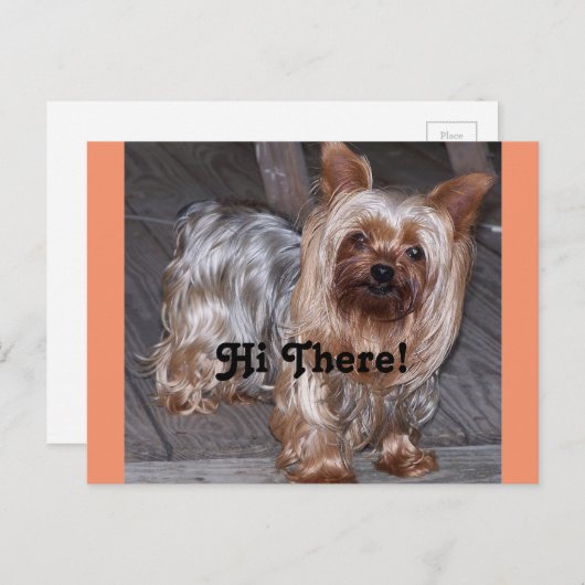 Hallo daar Yorkshire Terrier Briefkaart (Voorkant / Achterkant)