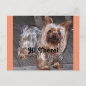 Hallo daar Yorkshire Terrier Briefkaart (Voorkant)