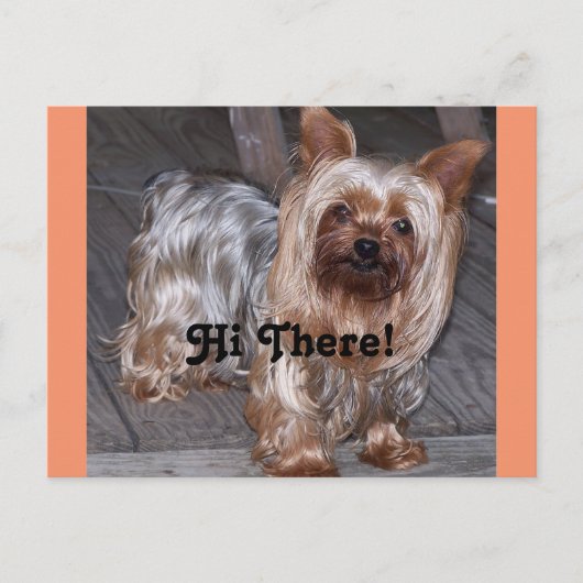 Hallo daar Yorkshire Terrier Briefkaart (Voorkant)