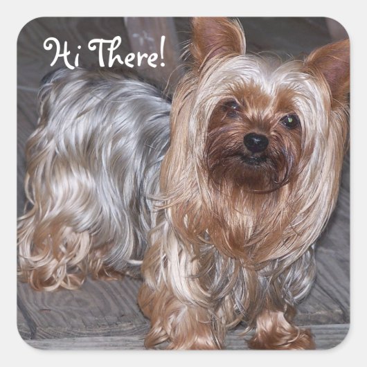 Hallo daar Yorkshire Terrier Vierkante Sticker (Voorkant)