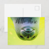 Hallo daar zeehond briefkaart (Voorkant / Achterkant)