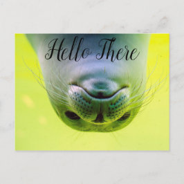 Hallo daar zeehond briefkaart