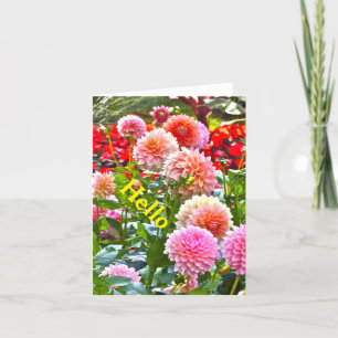HALLO DAHLIA GARDEN/ ROZE EN PERZIK DAHLIA'S/"PAAR KAART