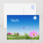 hallo Daisy Butterfly Flower Garden Post Card Briefkaart (Voorkant / Achterkant)