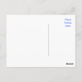 hallo Daisy Butterfly Flower Garden Post Card Briefkaart (Achterkant)