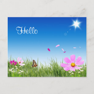 hallo Daisy Butterfly Flower Garden Post Card Briefkaart