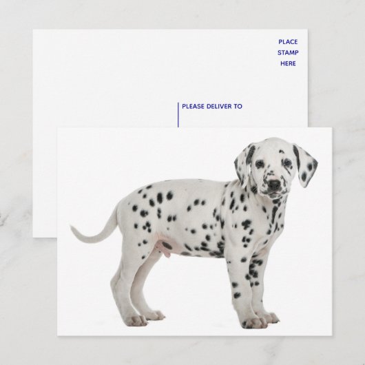 Hallo Dalmatische puppy hond Briefkaart (Voorkant / Achterkant)