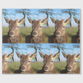 hallo Deer Cadeaupapier (Vlak)