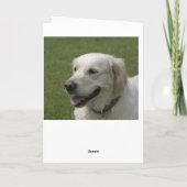 Hallo Denk aan je Golden Retriever Puppy Kaart (Achterkant)