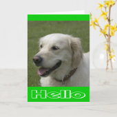 Hallo Denk aan je Golden Retriever Puppy Kaart (Gele Bloem)