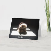 hallo, DENK AAN JULLIE VRIENDEN OF GEZIN Kaart (Voorkant)