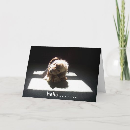 hallo, DENK AAN JULLIE VRIENDEN OF GEZIN Kaart (Voorkant)