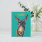 hallo Donkey Boerderij Animal Briefkaart (Staand voorkant)