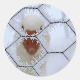 hallo! Duck achter gevroren hek Ronde Sticker