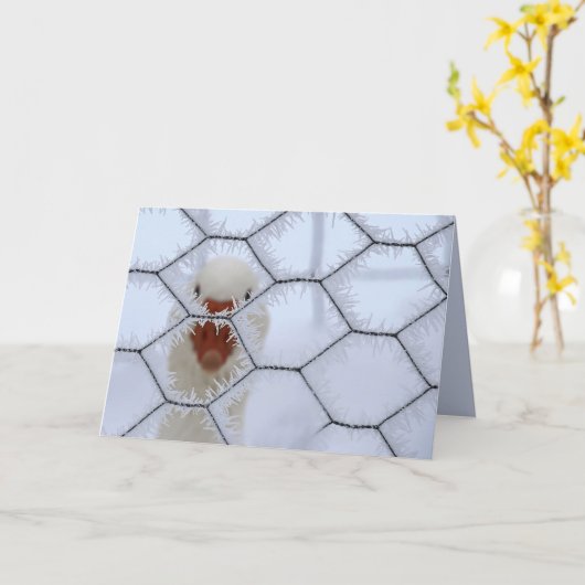 hallo! Duck achter gevroren hek seculiere kerst Kaart (Gele Bloem)