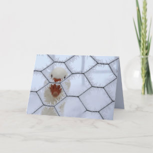hallo! Duck achter gevroren hek seculiere kerst Kaart
