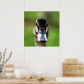 hallo Ducky Quirky Duck Portrait Poster (Keuken)
