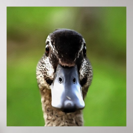 hallo Ducky Quirky Duck Portrait Poster (Voorkant)