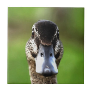 hallo Ducky Quirky Duck Portrait Tegeltje