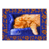 Hallo. Duits Oranje Tabby Cat Blue (Voorkant Horizontaal)