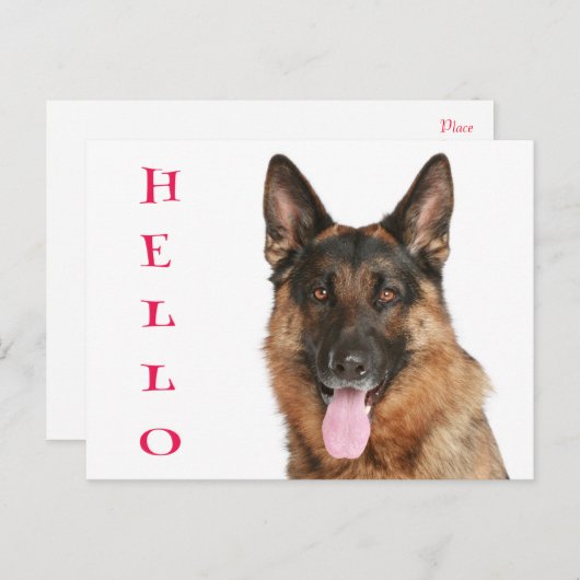 Hallo Duitse Herder Puppy Dog Blank Post Kaart (Voorkant / Achterkant)
