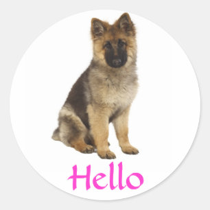 Hallo Duitse Herdershond Puppies Hond Begroetingss Ronde Sticker
