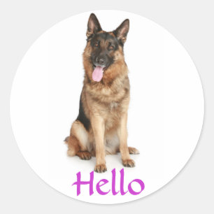 Hallo Duitse Herdershond Puppies Hond Begroetingss Ronde Sticker