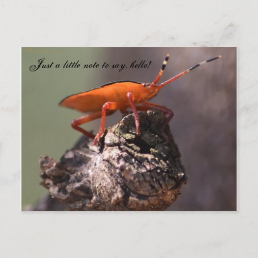 Hallo Een klein briefje om te zeggen! Briefkaart (Voorkant)