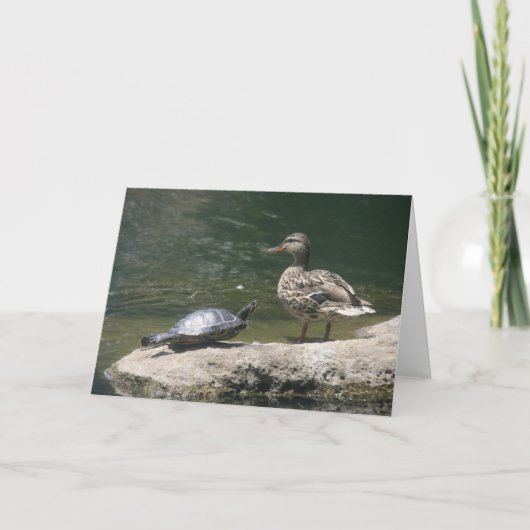 Hallo eendenkaart kaart (Voorkant)